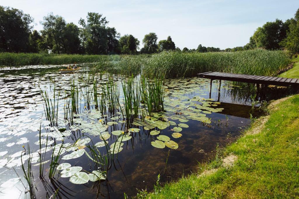 Apartamenty U Barbary Ełk Buitenkant foto